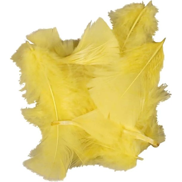 Gule fjer 50g