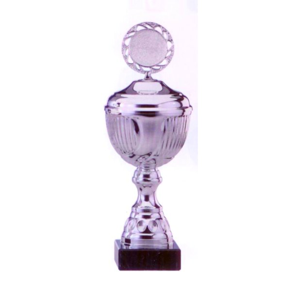 Slv pokal