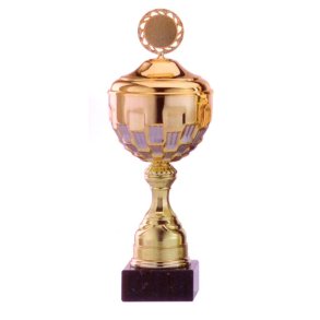 Guld pokal med slv markeringer